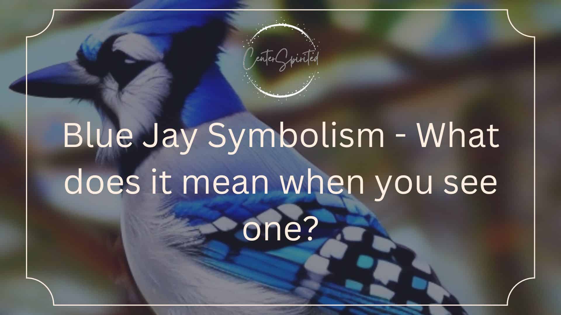 blue jay symbolism featured image