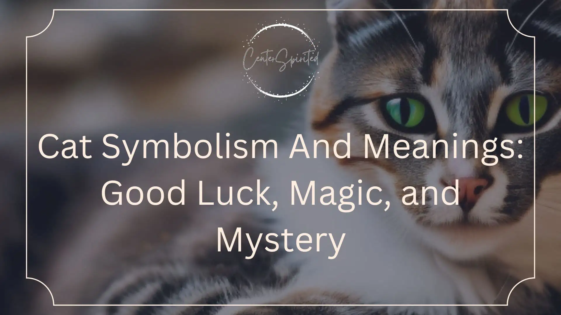 Cat Symbolism And Meanings Good Luck, Magic, and Mystery