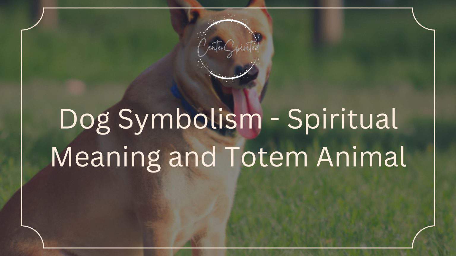 Dog Symbolism Spiritual Meaning and Totem Animal