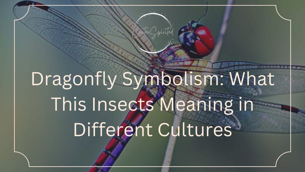 Dragonfly Symbolism And Meaning in Different Cultures
