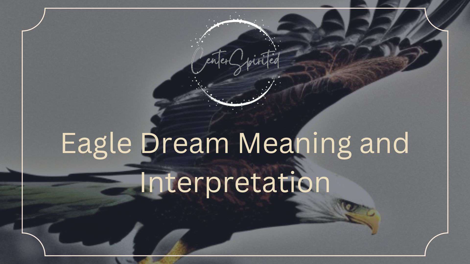 Bird of Prey Dream Meaning  Dream meanings, Dream dictionary, Spiritual  meaning of dreams