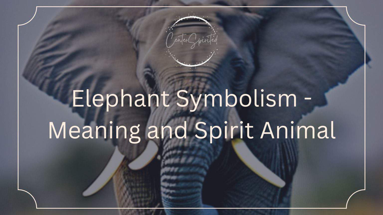 Elephant Symbolism Meaning and Spirit Animal