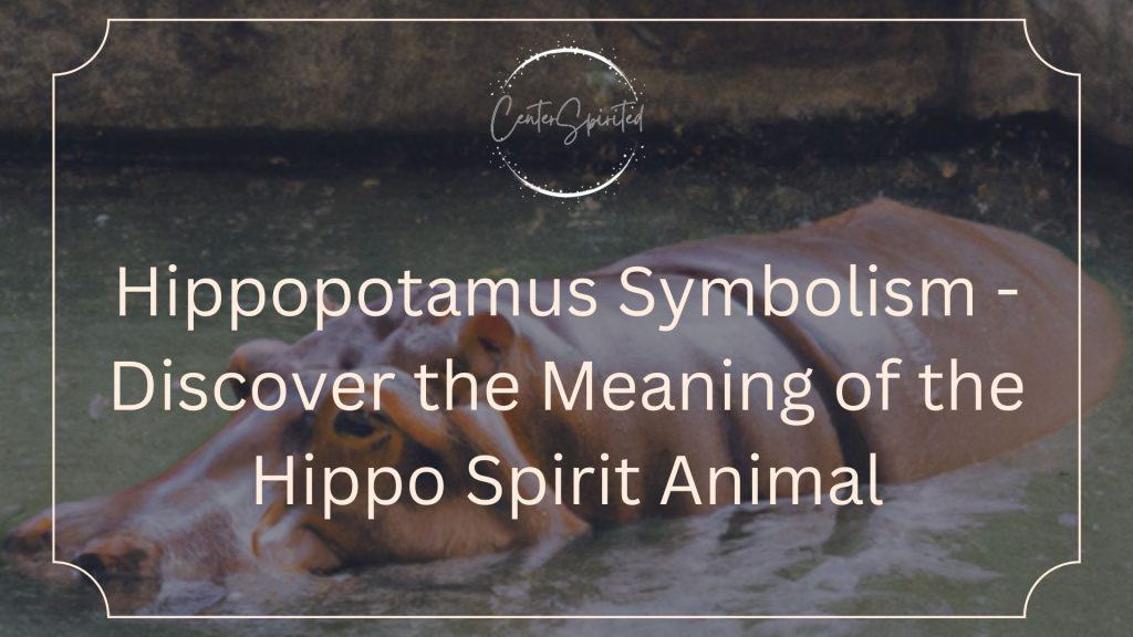 Hippopotamus Symbolism Meaning of the Hippo Spirit Animal