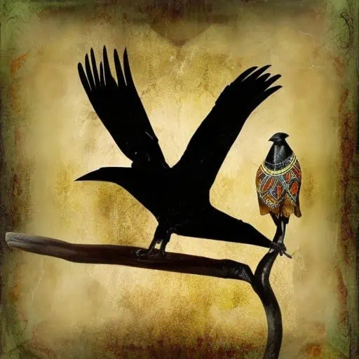 African style crow