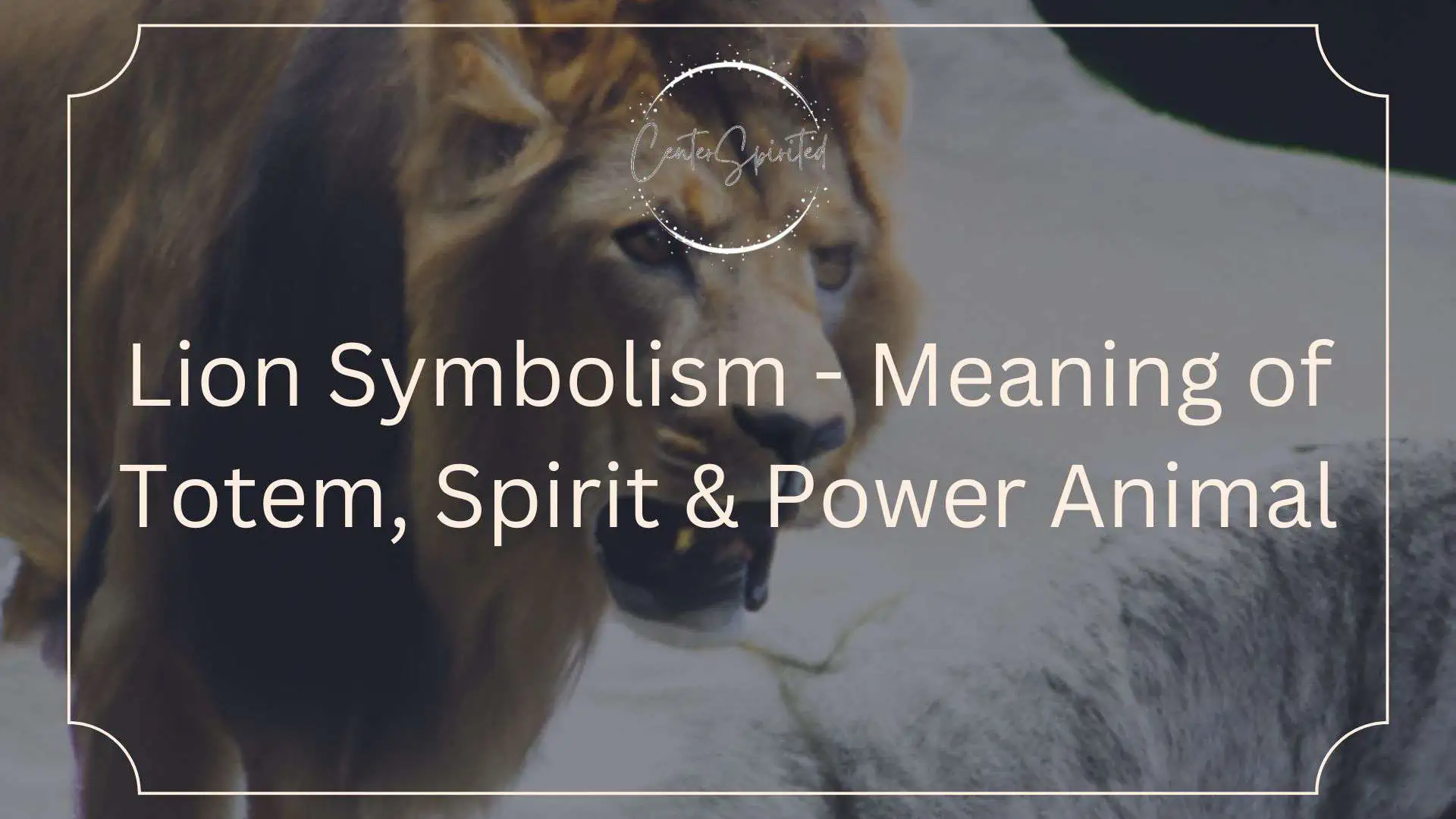 Lion Symbolism Meaning Of Totem Spirit And Power Animal