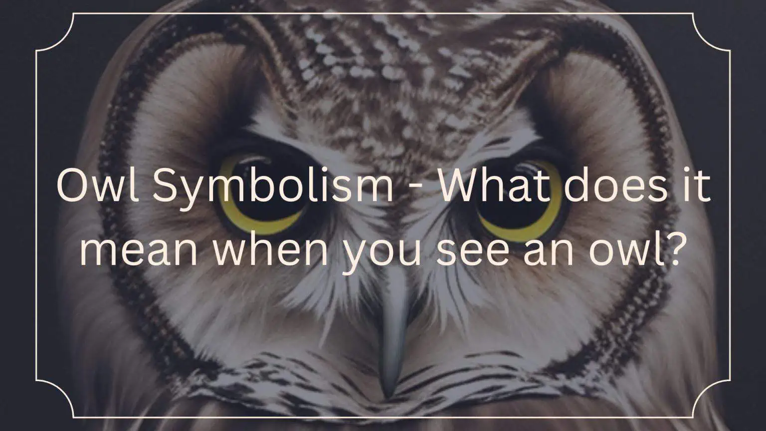 Owl Symbolism What does it mean when you see an owl?