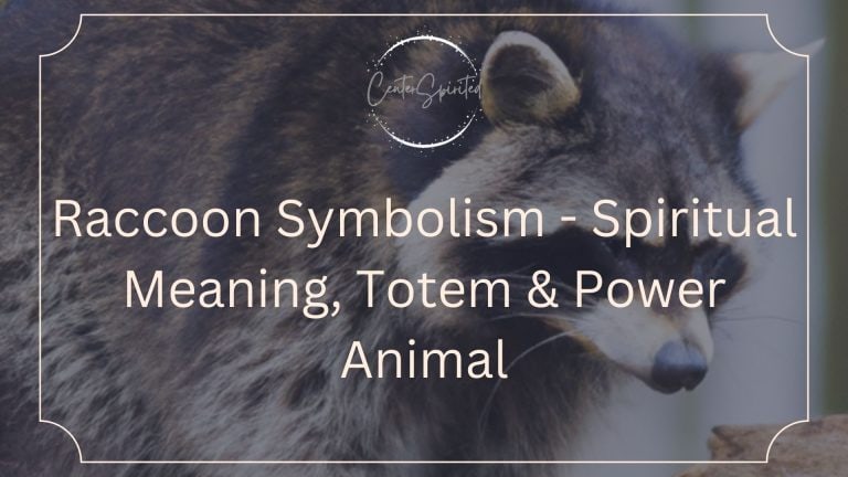 Raccoon Symbolism - Spiritual Meaning, Totem & Power Animal