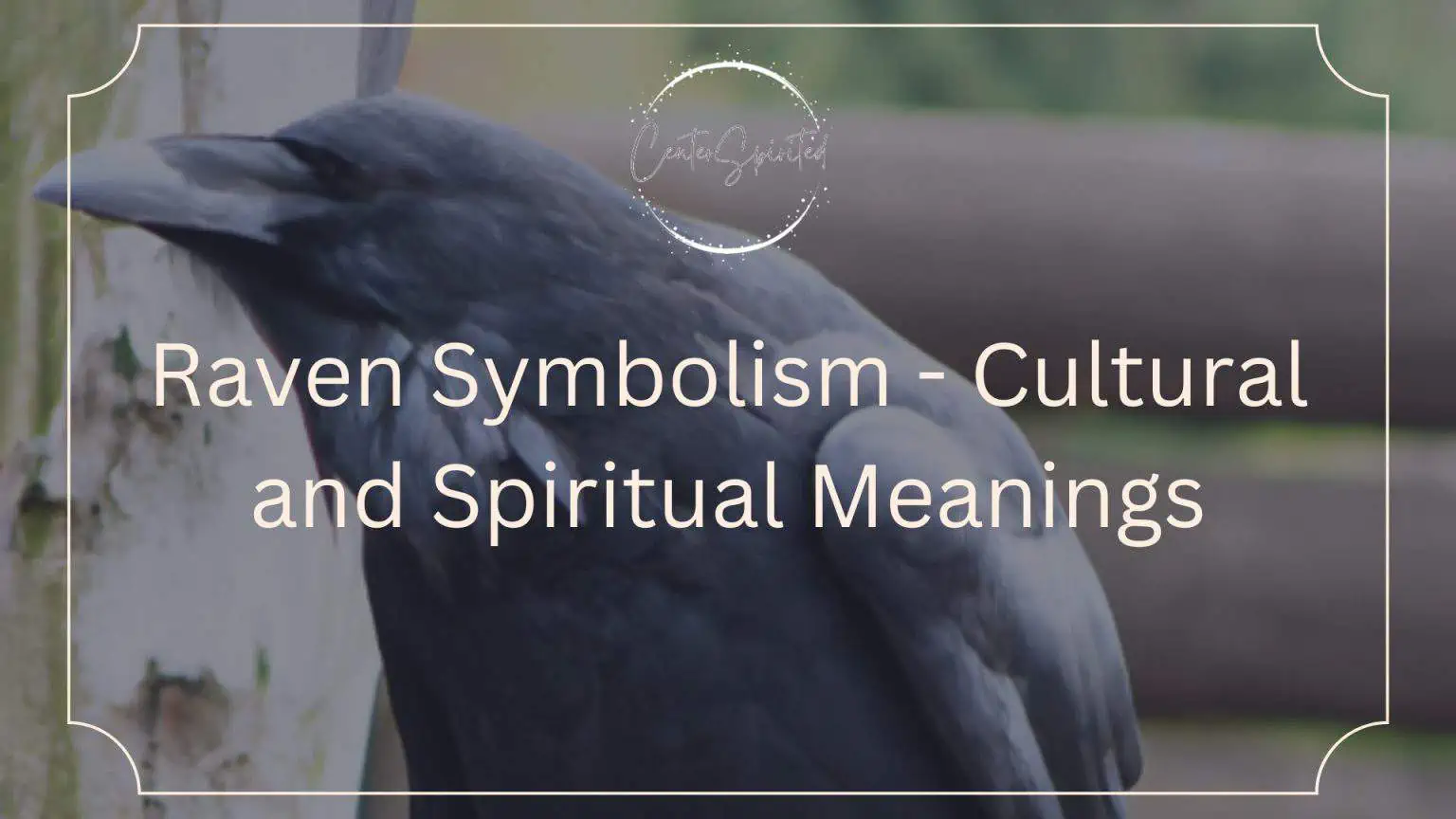 Raven Symbolism Cultural and Spiritual Meanings