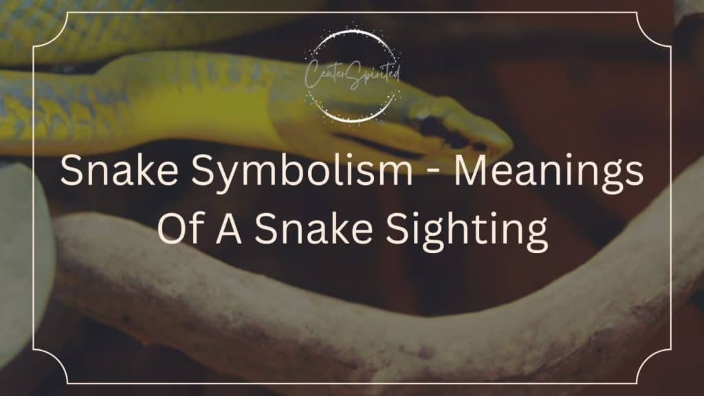 snake-symbolism-meanings-of-a-snake-sighting