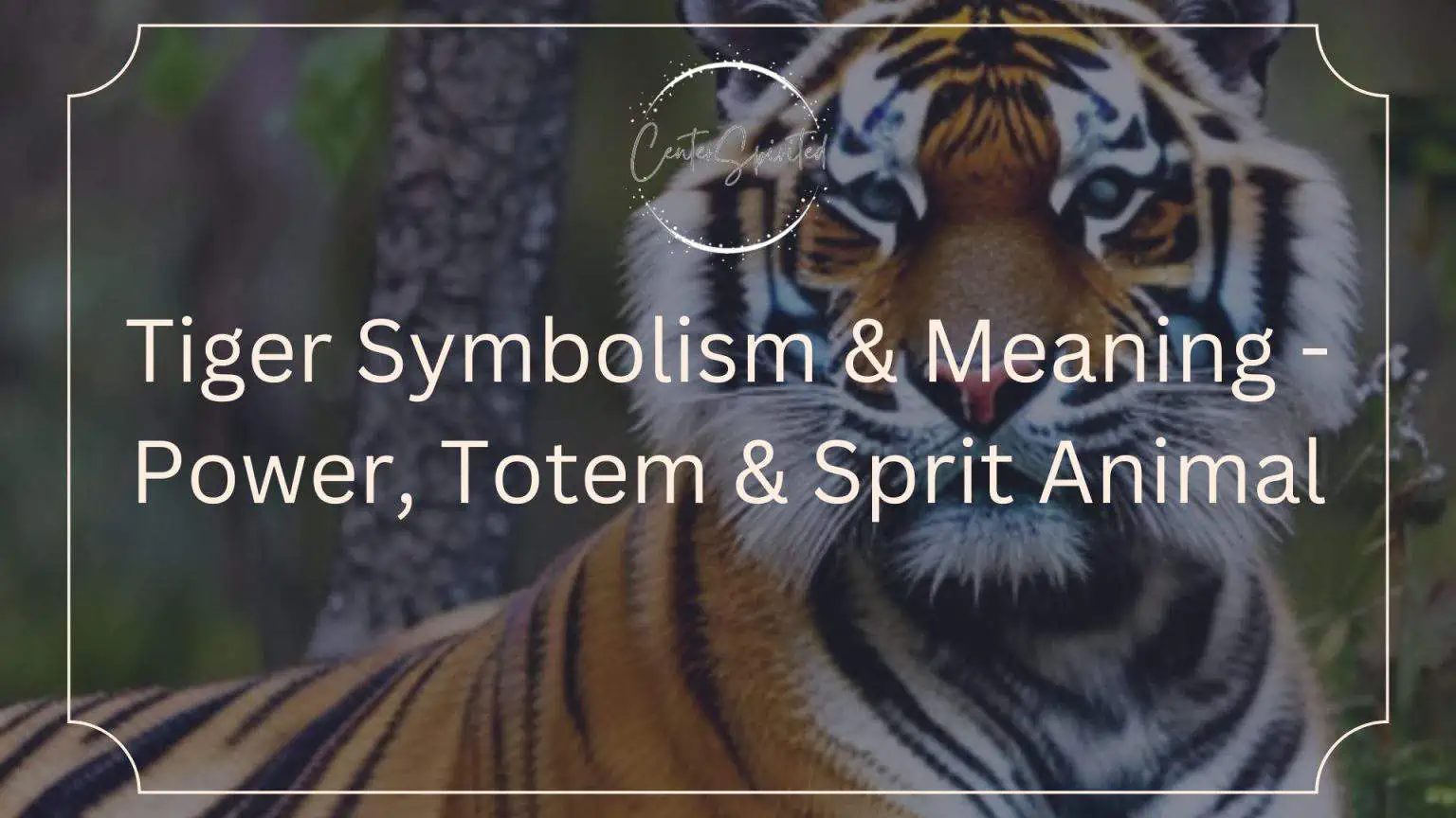 Tiger Symbolism & Meaning Power, Totem & Sprit Animal