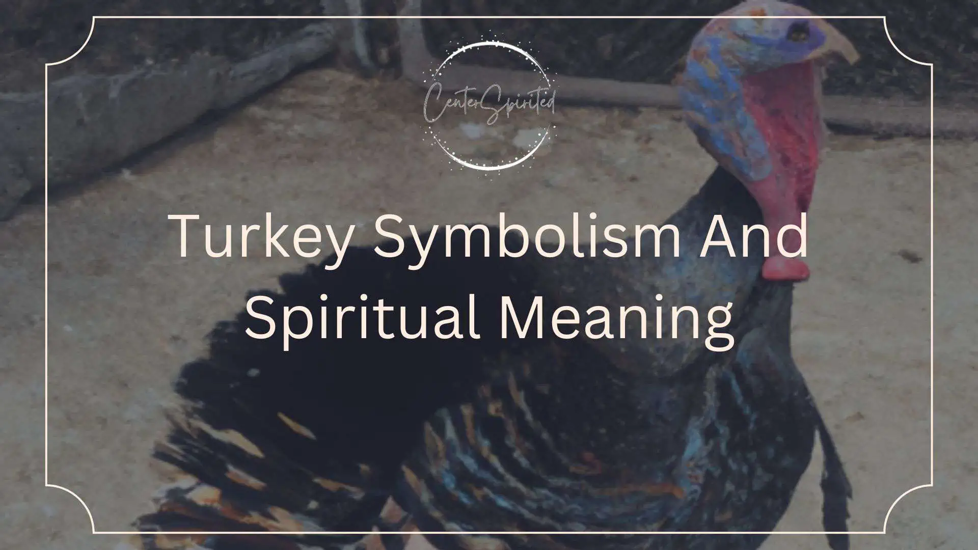 turkey-symbolism-and-spiritual-meaning