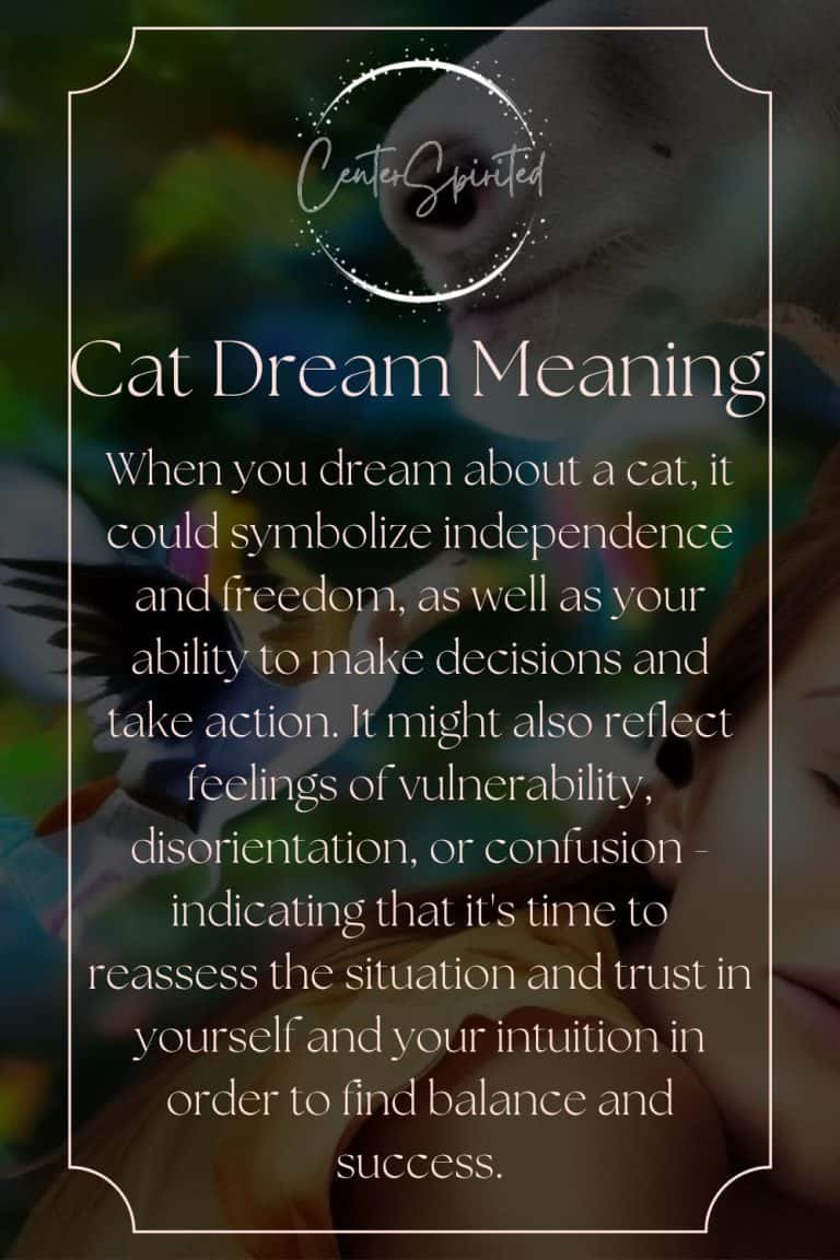 Cat Dream Meaning & Interpretation