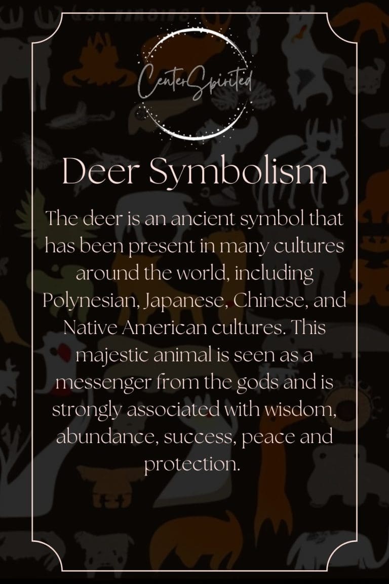 Deer Symbolism What Does It Mean When You See a Deer?
