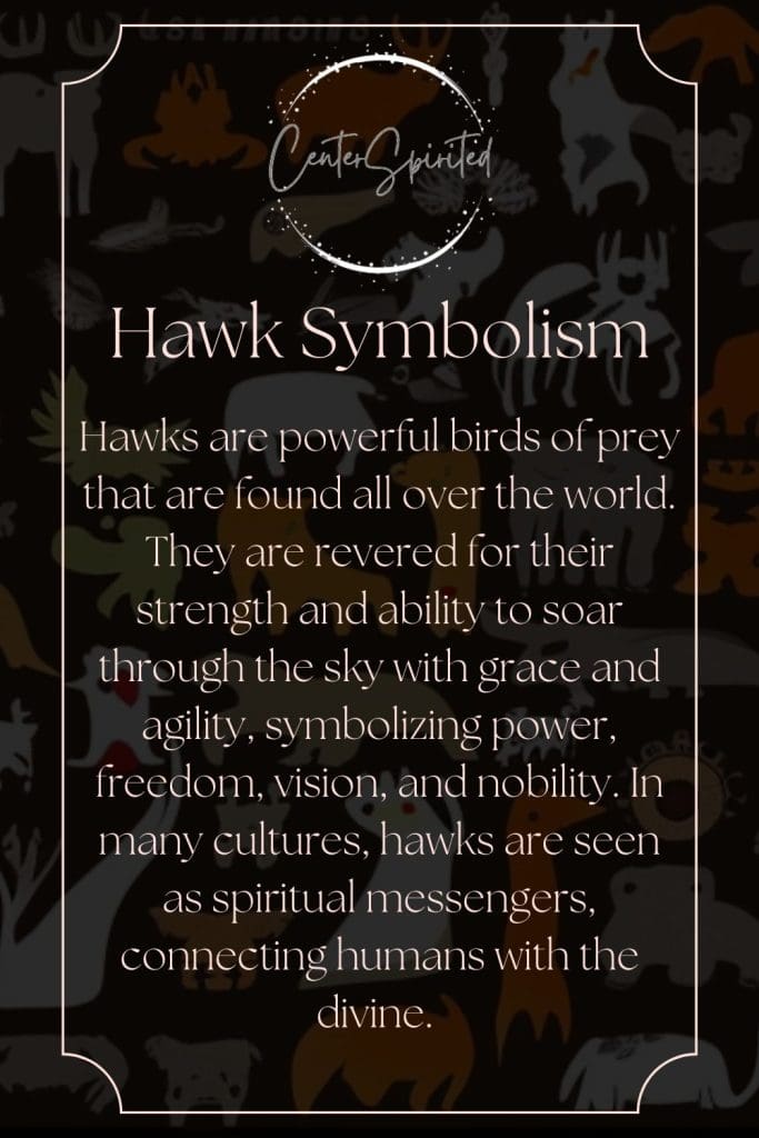 Hawks ~ These birds of prey have long been sacred to cultures all over the  world. Hawks…