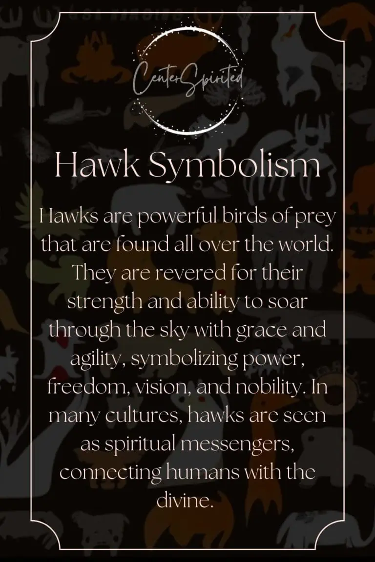 Hawk Symbolism What Does It Mean When You See a Hawk?