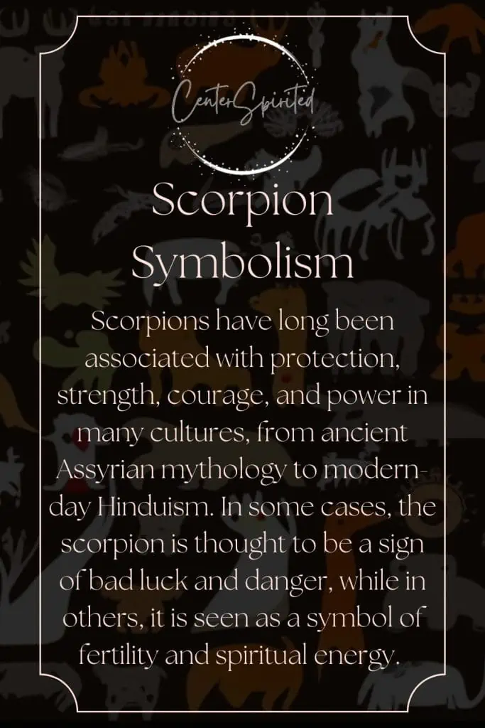 Scorpion Symbolism & Meaning of Seeing One