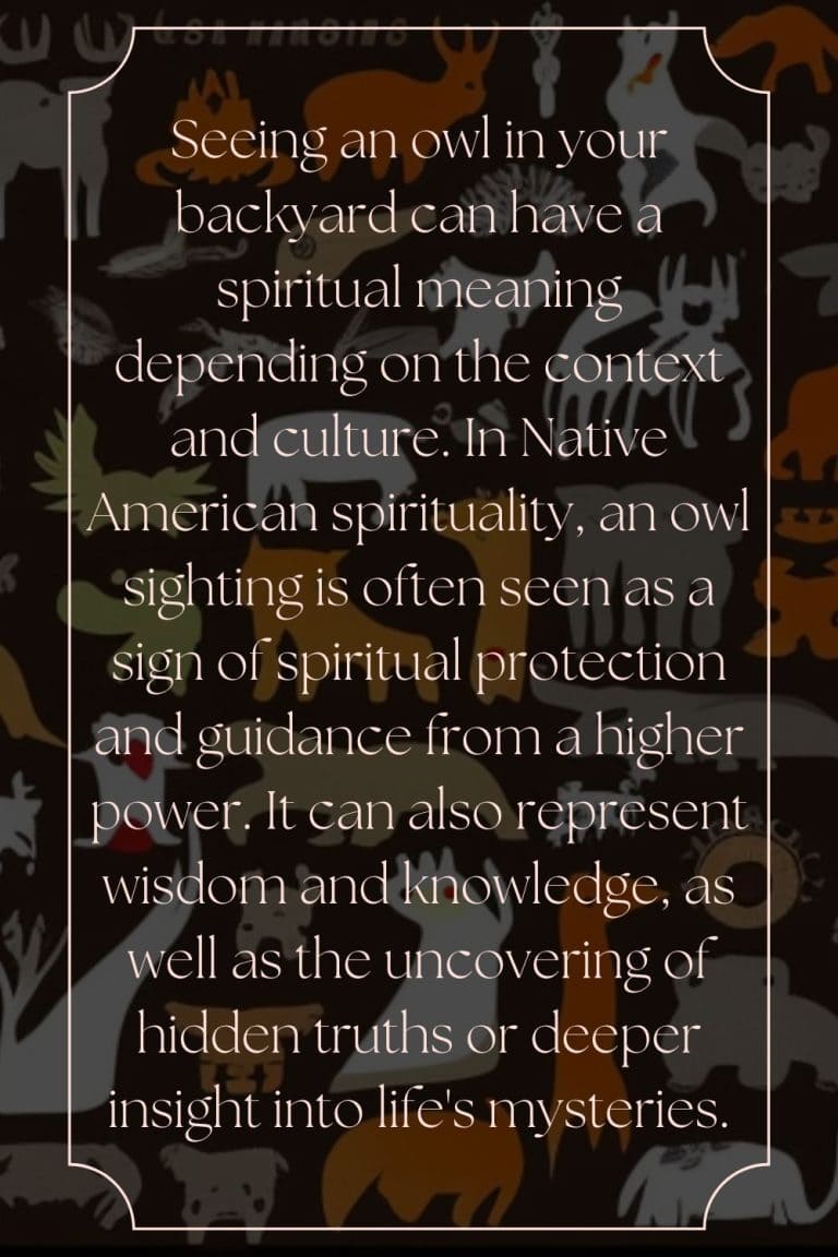 Owl Symbolism What does it mean when you see an owl?