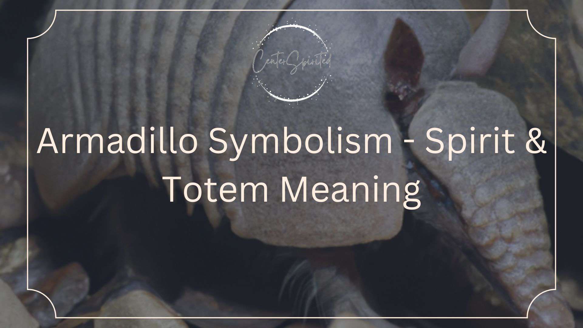 armadillo symbolism featured