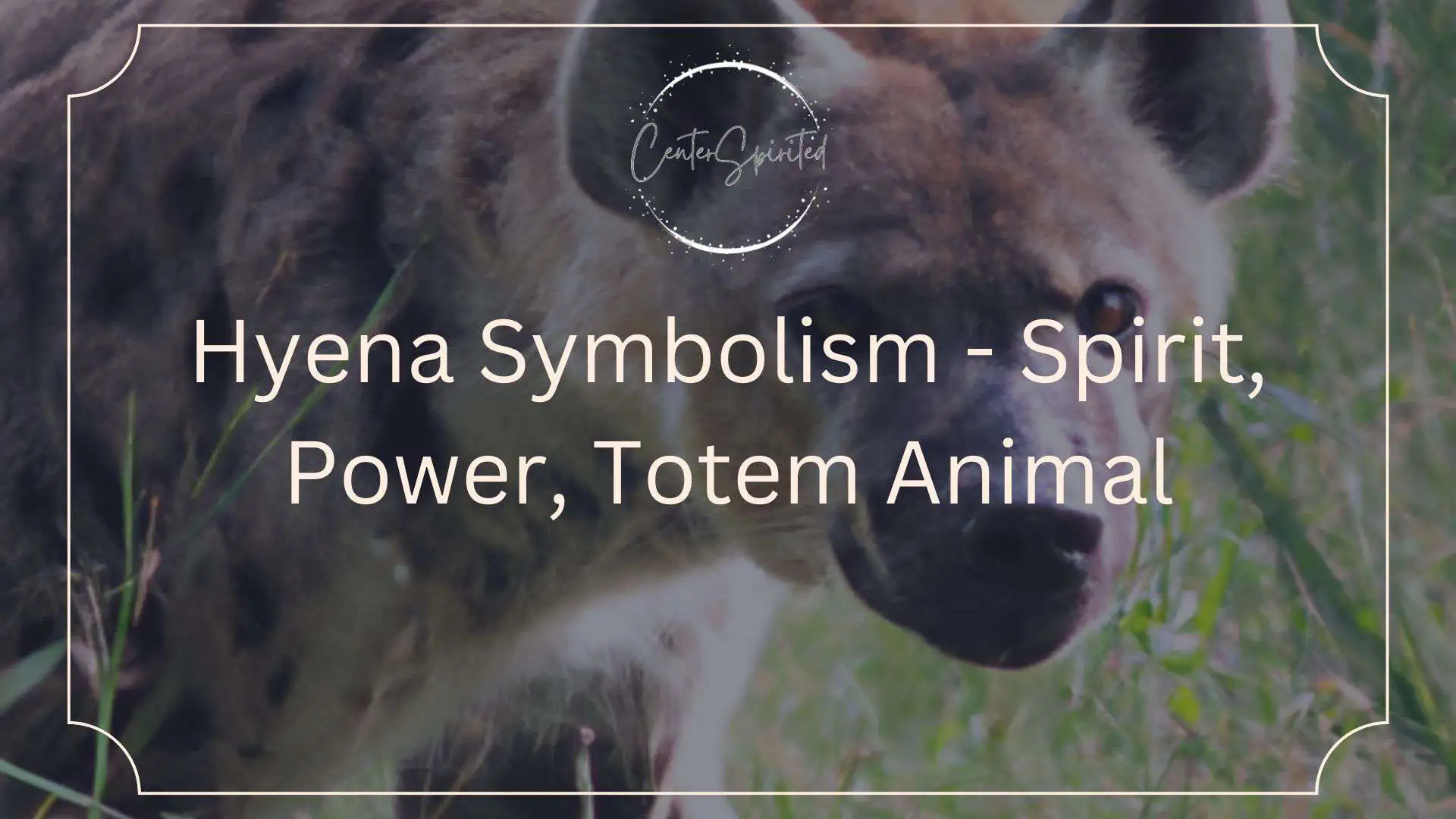 Bear Symbolism & Meaning, Spirit, Totem & Power Animal