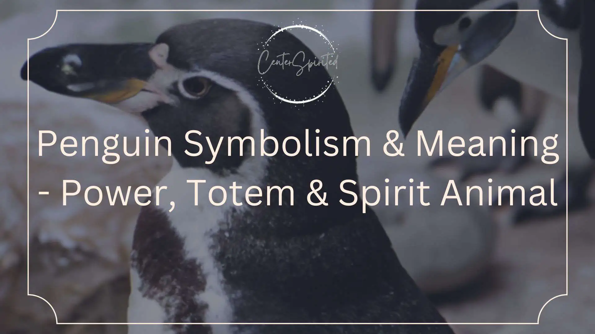 Bird Symbolism & Meaning  Spirit, Totem, & Power Animal