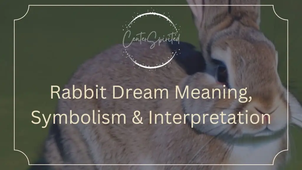 rabbit-dream-meaning-symbolism-interpretation