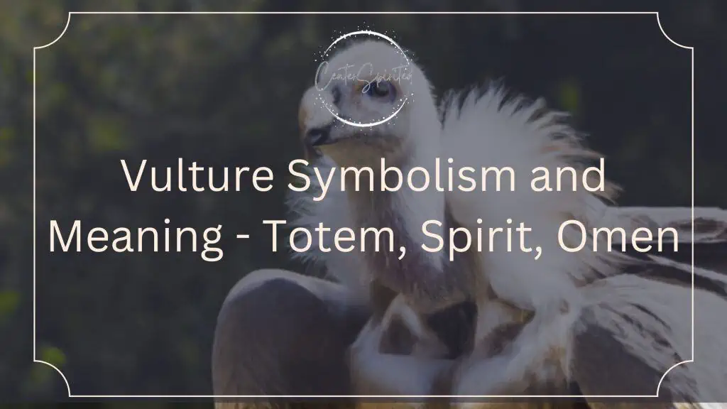 Vulture Symbolism and Meaning Totem, Spirit, Omen