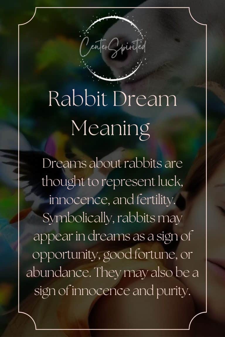 Rabbit Dream Meaning, Symbolism & Interpretation