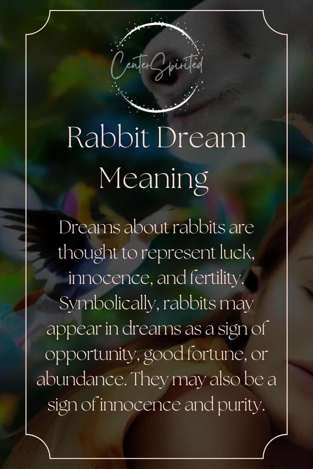 Rabbit Dream Meaning, Symbolism & Interpretation