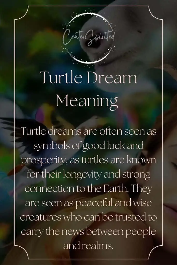 what does it mean when you dream about turtles