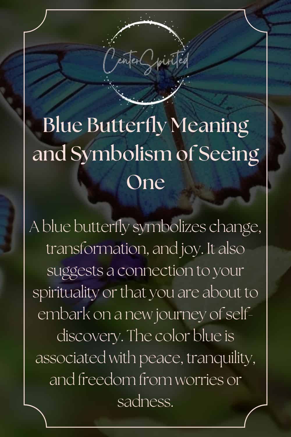 Blue Butterfly Meaning and Symbolism of Seeing One