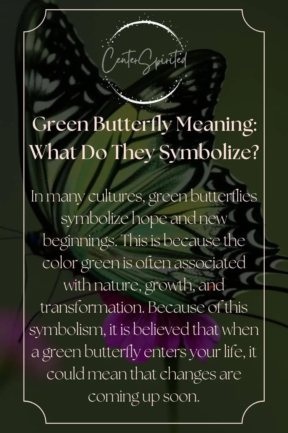 Green Butterfly Meaning: What Do They Symbolize?