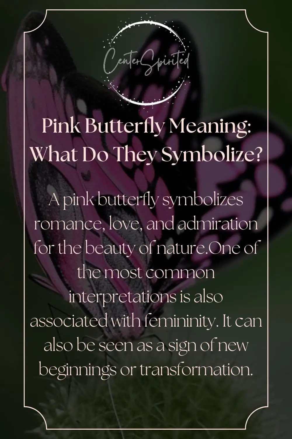 pink butterfly meaning