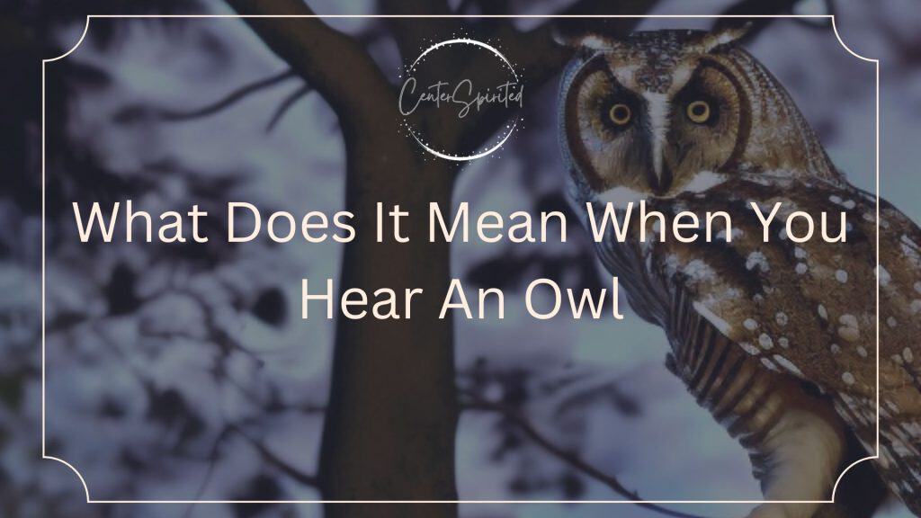 What Does It Mean When You Hear An Owl?