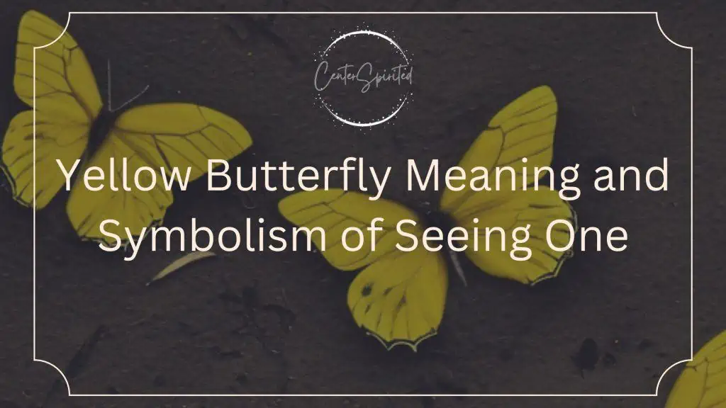 Yellow Butterfly Meaning and Symbolism of Seeing One