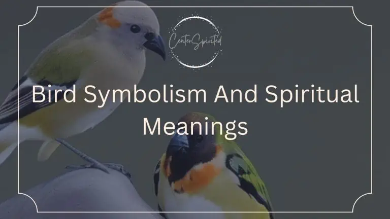 Bird Symbolism And Spiritual Meanings