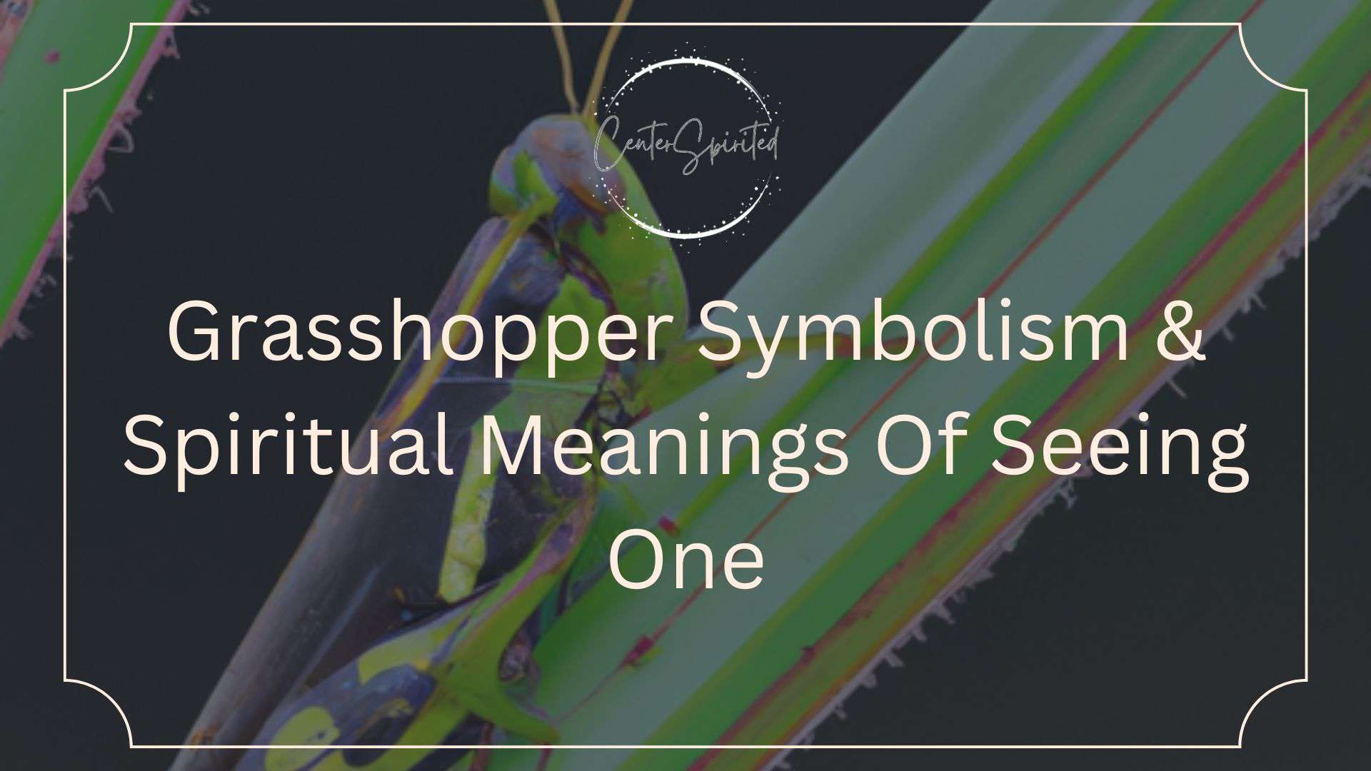 grasshopper symbolism featured