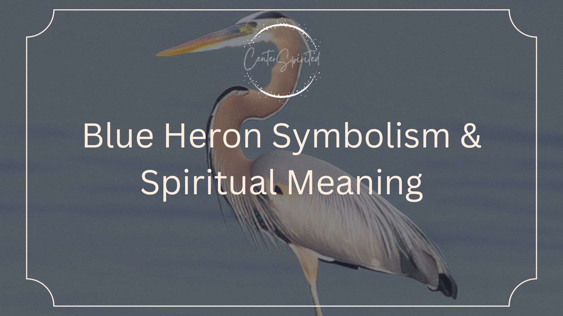 Heron Tattoo Photos and Images | Shutterstock