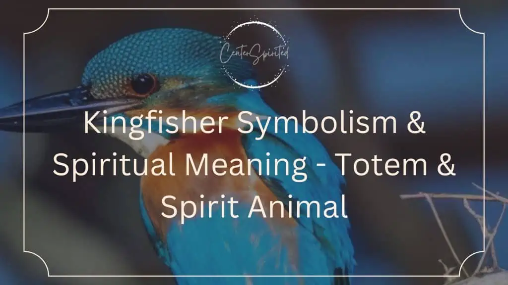 Kingfisher Symbolism & Spiritual Meaning - Totem & Spirit Animal