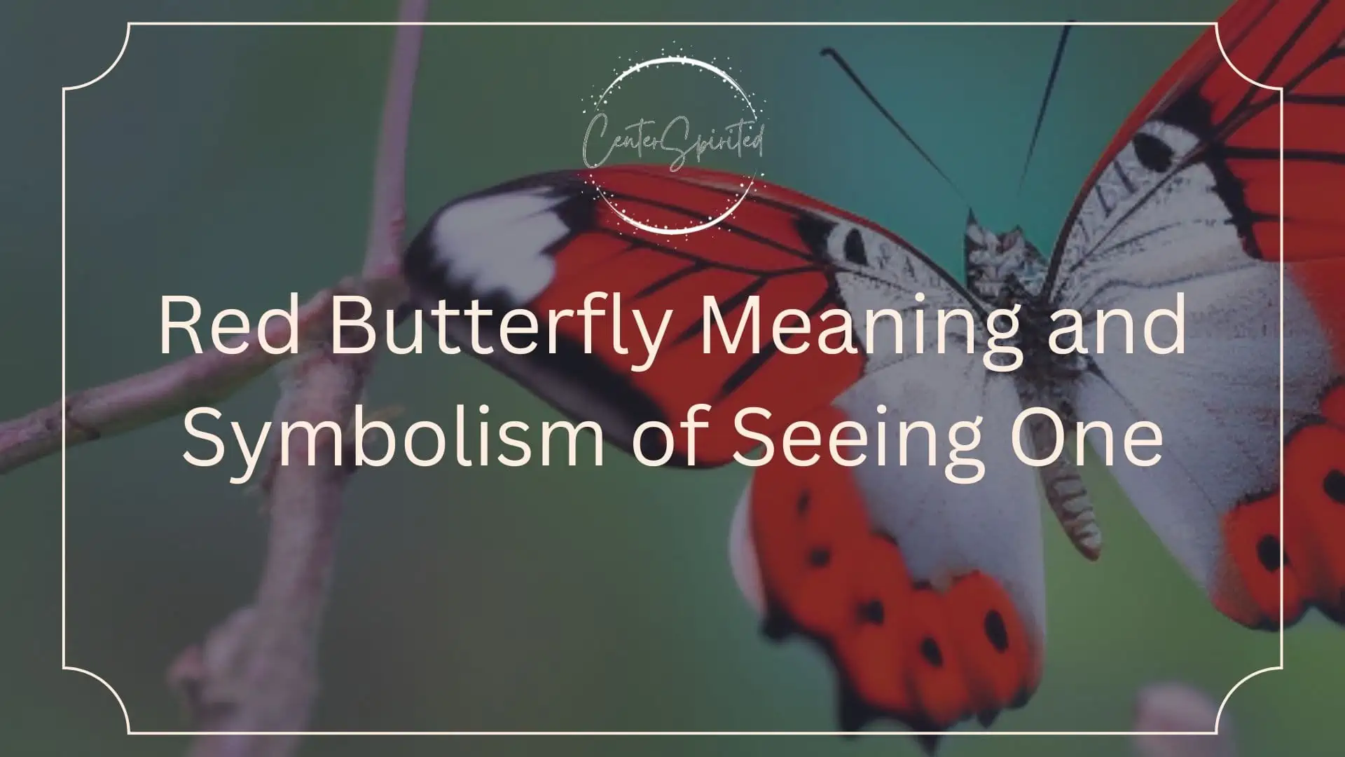red butterfly symbolism featured