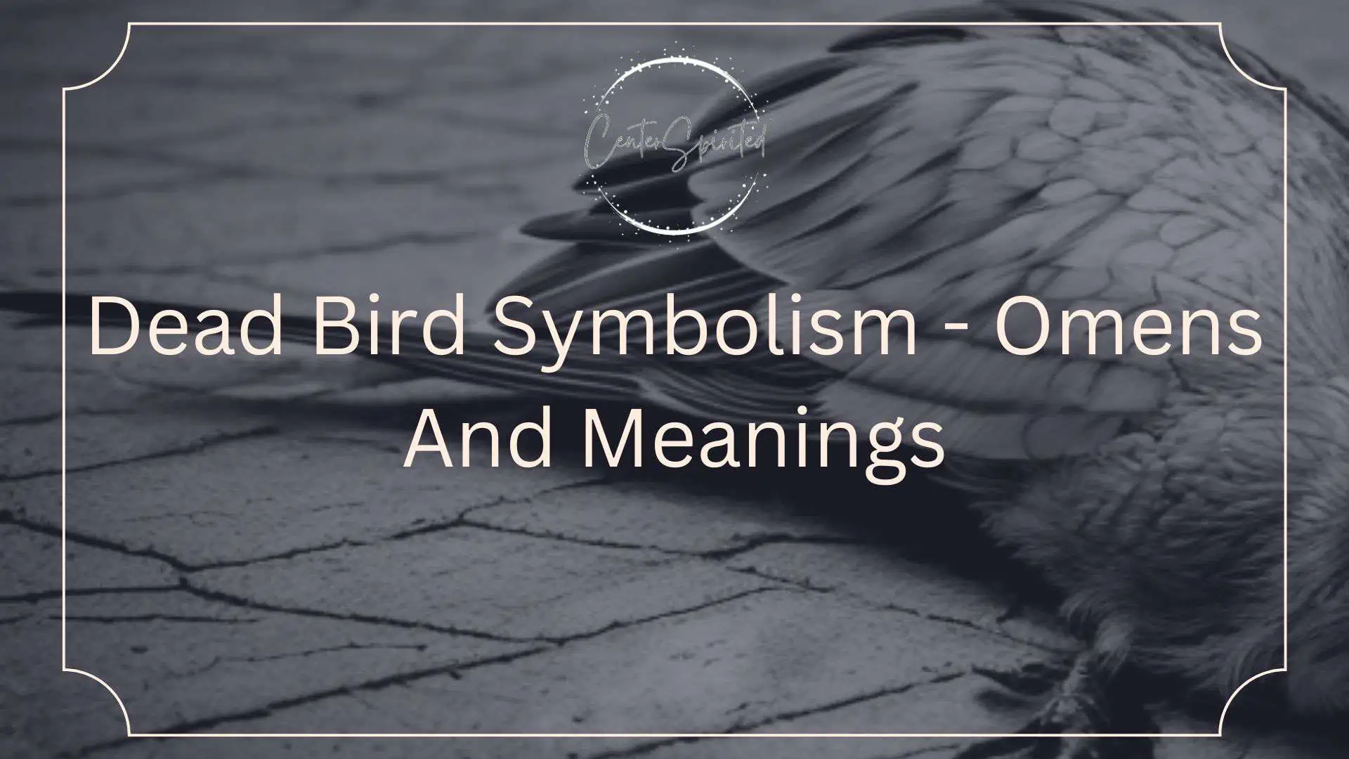 Blackbird Symbolism & Meaning  Blackbird Spirit, Totem & Power Animal