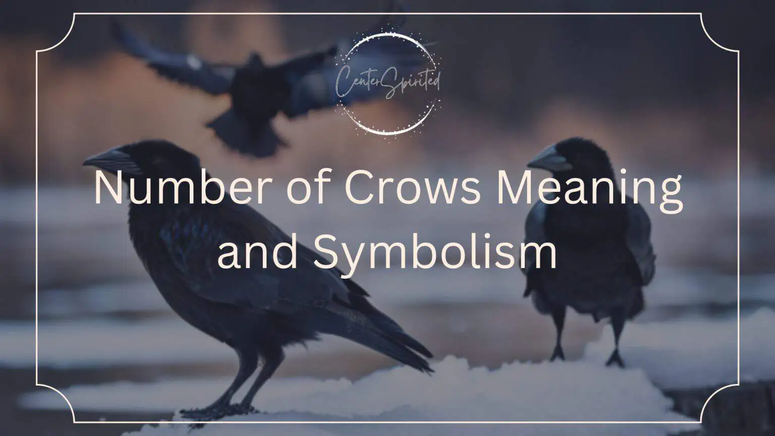 Number of Crows Meaning and Symbolism