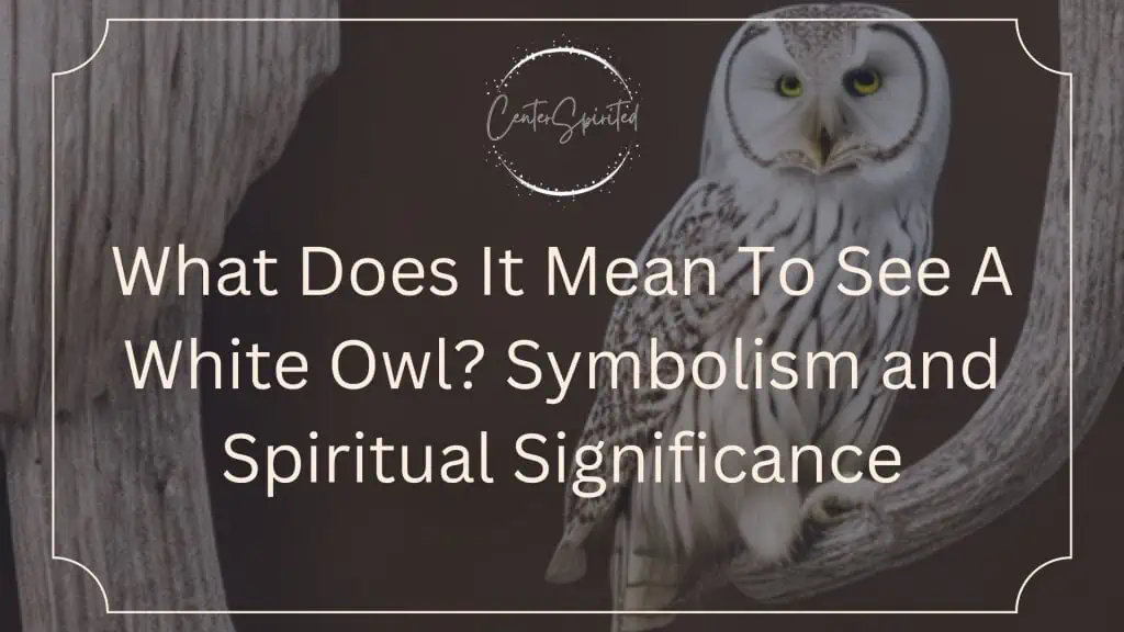 What Does It Mean To See A White Owl Symbolism Spiritual Significance   White Owl Meaning And Symbolism Featured 1024x576 