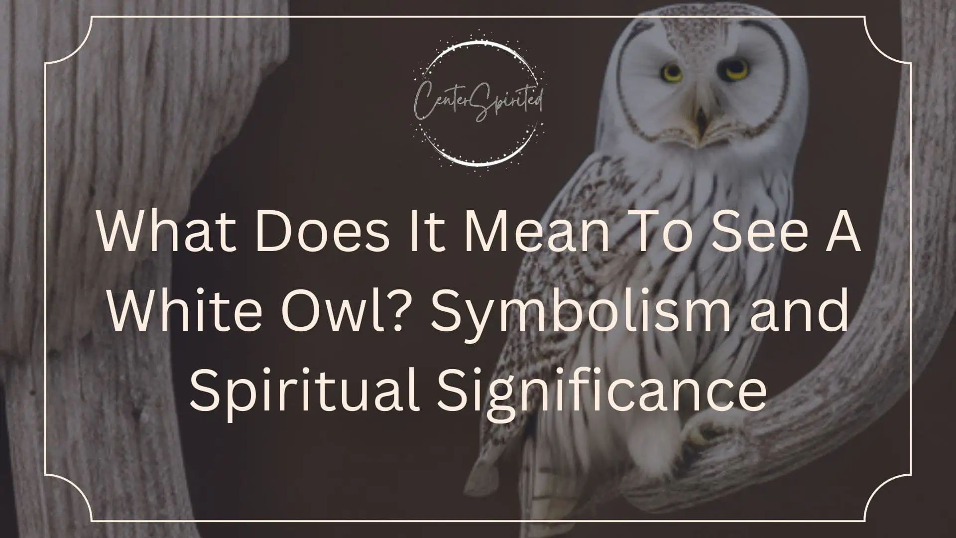 White Owl Spiritual Meaning Symbolism  