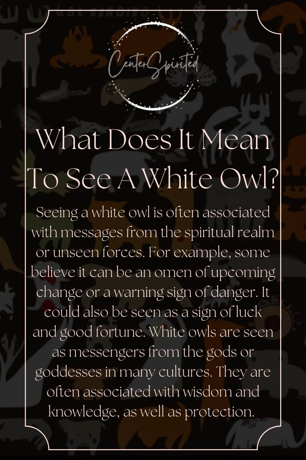 What Does It Mean To See A White Owl? Symbolism & Spiritual Significance