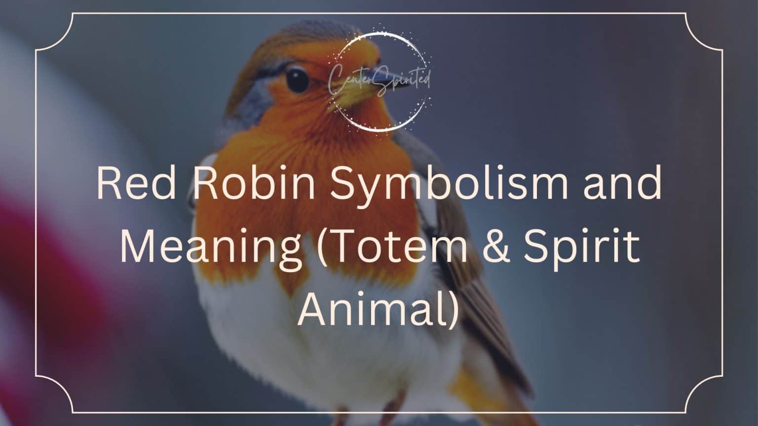 Red Robin Symbolism and Meaning (Totem & Spirit Animal)