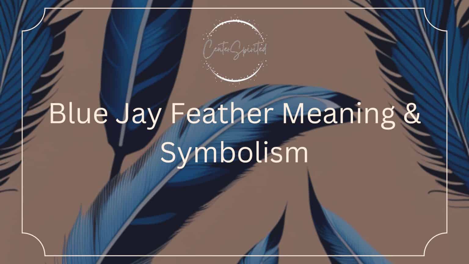 Blue Jay Feather Meaning & Symbolism
