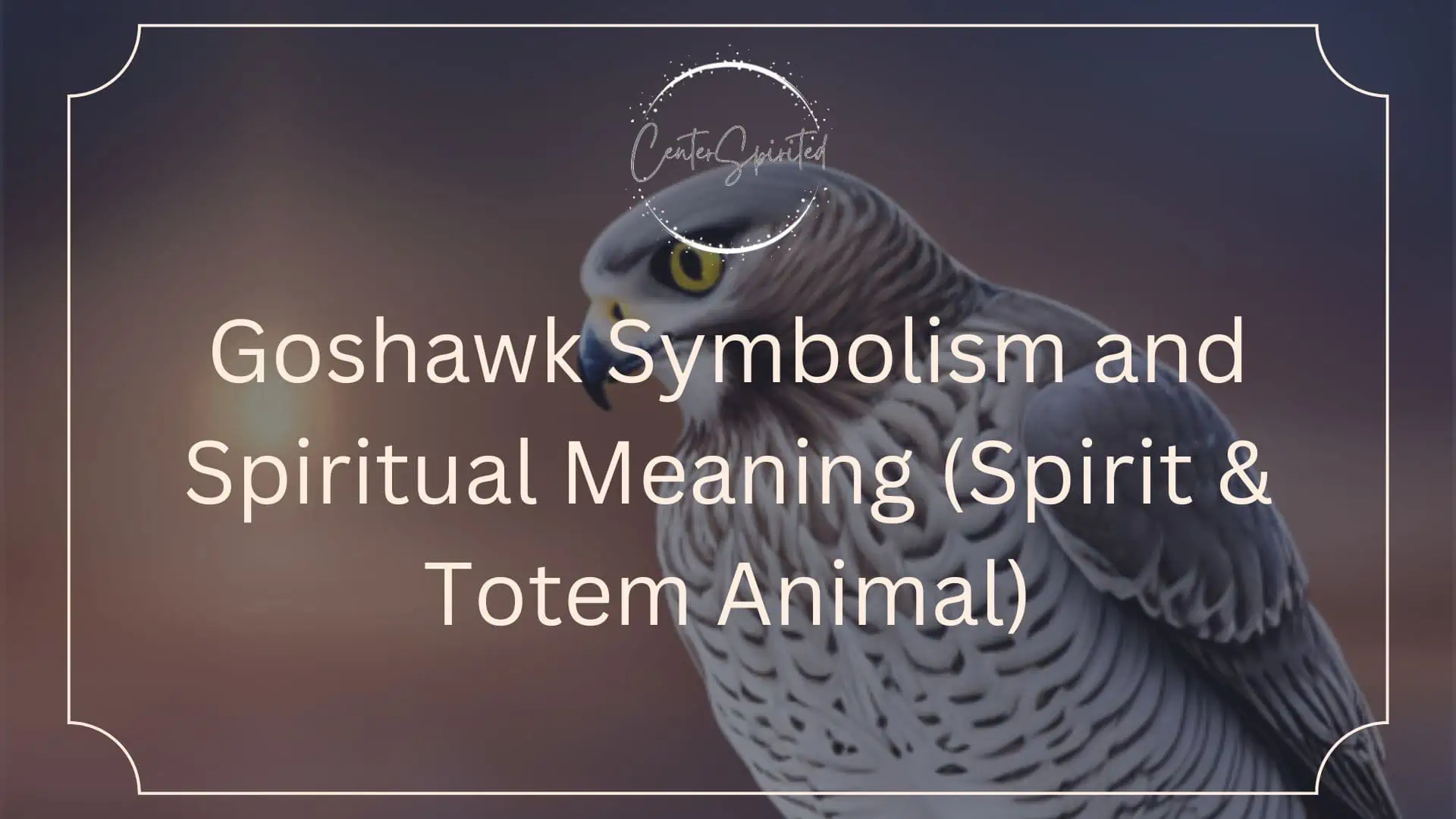 Spiritual Insights: Unveiling the Significance of the Hawk Feather