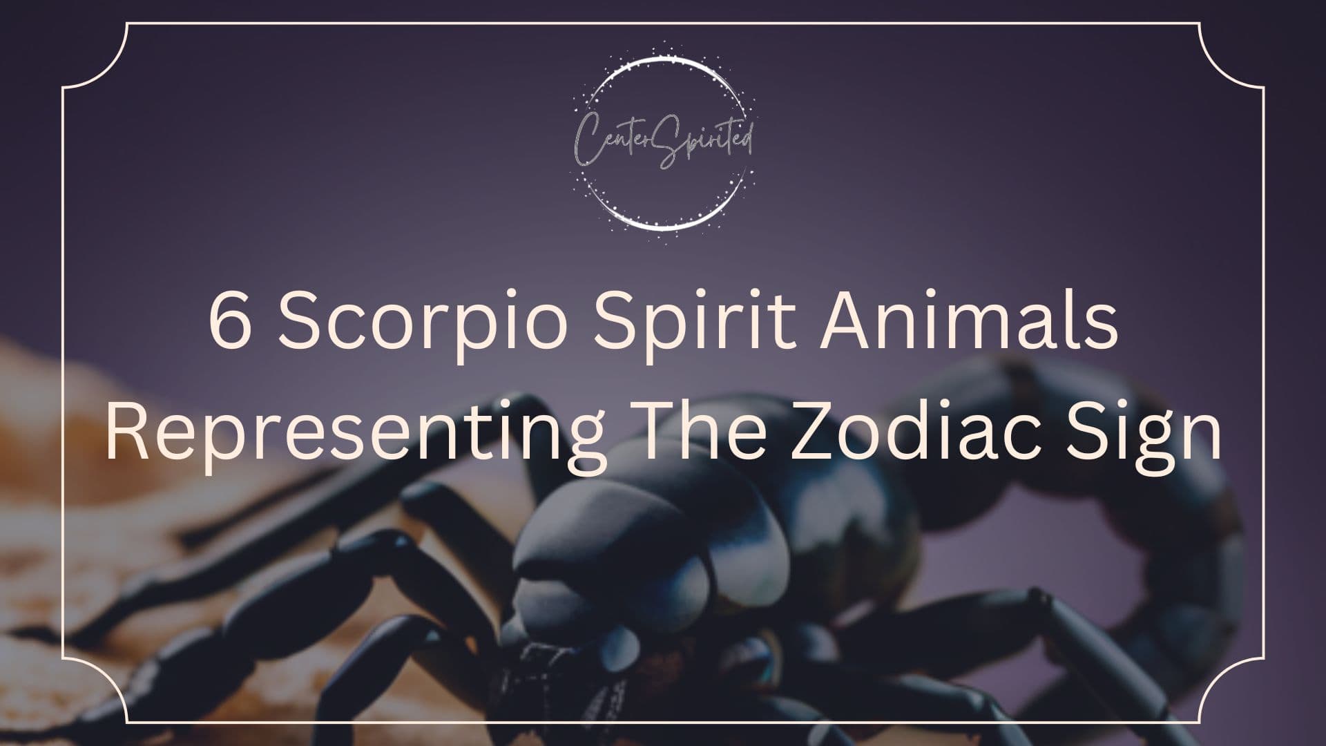 Scorpio Spirit Animals Featured 