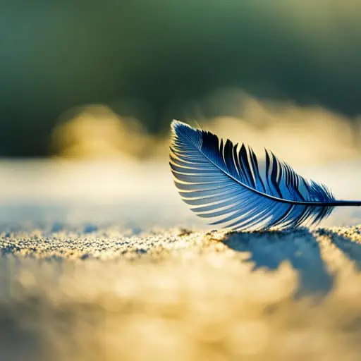 Blue Feather Meaning And Symbolism 5 Interpretations
