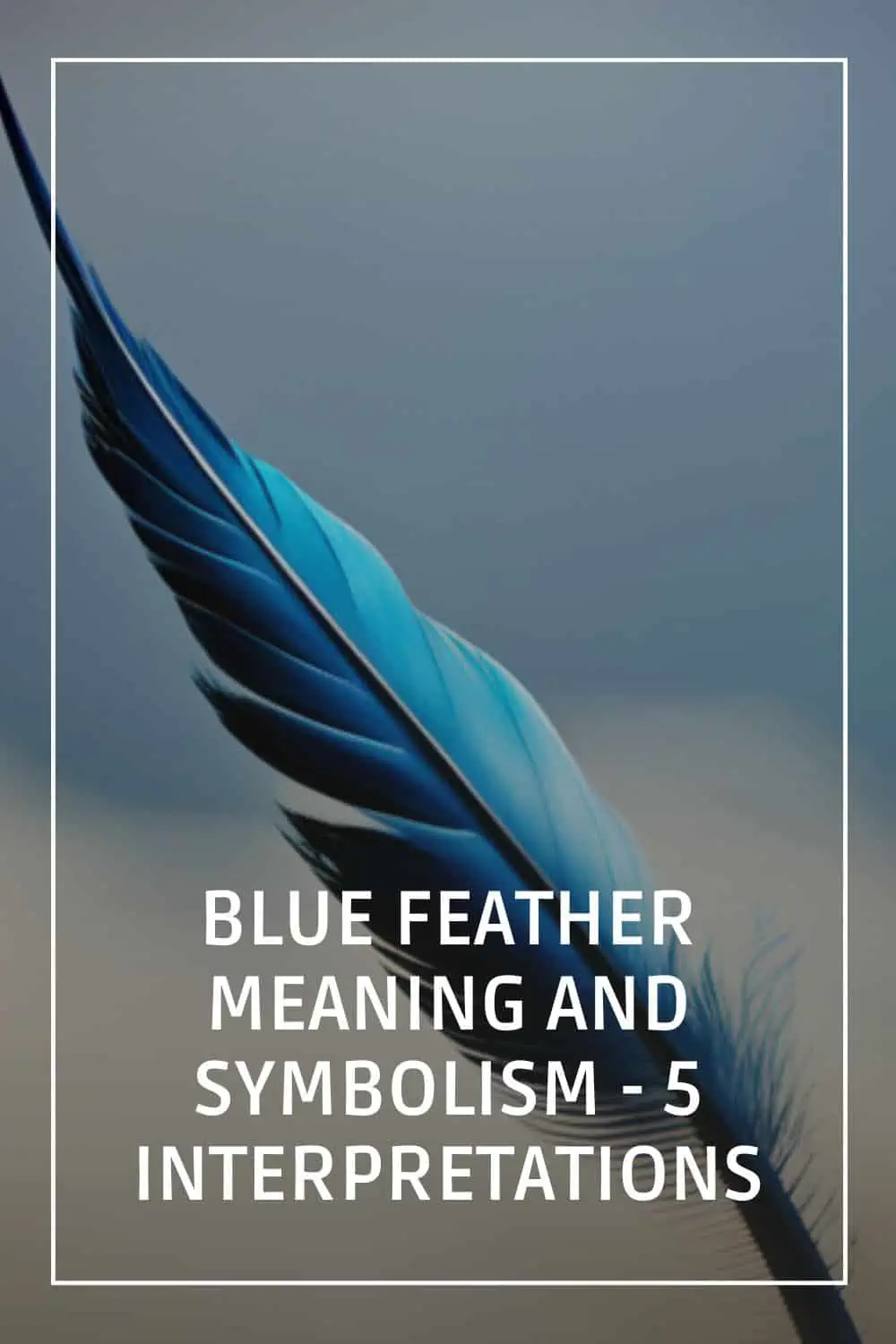 Blue Feather Meaning And Symbolism 5 Interpretations